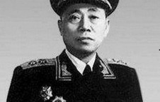 娱乐吃瓜酱陶勇,娱乐吃瓜酱背后的故事与传奇