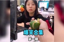 娱乐吃瓜喵姐视频大全,盘点热门视频，揭秘娱乐圈幕后故事